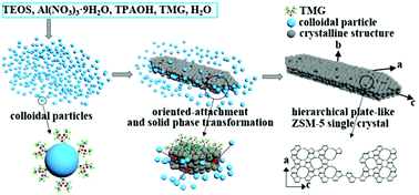 Graphical abstract: Constructing single-crystalline hierarchical plate-like ZSM-5 zeolites with short b-axis length for catalyzing MTO reactions