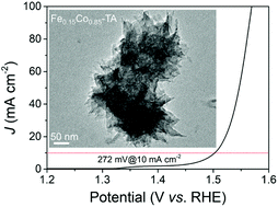 Graphical abstract: Fe incorporation-induced electronic modification of Co-tannic acid complex nanoflowers for high-performance water oxidation