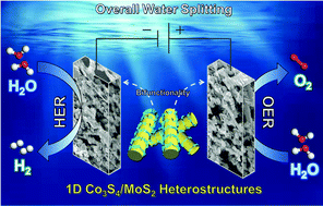 Graphical abstract: Synergistic effect between 1D Co3S4/MoS2 heterostructures to boost the performance for alkaline overall water splitting
