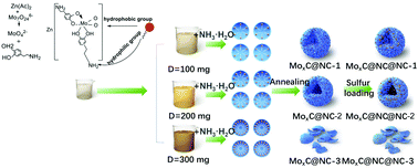 Graphical abstract: Hierarchical MoxC@NC hollow microsphere with incorporated Mo vacancies as multifunctional confined reactors for high-loading Li–S batteries