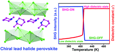 Graphical abstract: Homochiral one-dimensional ABX3 lead halide perovskites with high-Tc quadratic nonlinear optical and dielectric switchings