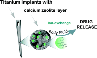 Graphical abstract: A long-term controlled release of the drug for osteoporosis from the surface of titanium implants coated with calcium zeolite