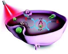 Graphical abstract: A Cu2+ doped mesoporous polydopamine Fenton nanoplatform for low-temperature photothermal therapy