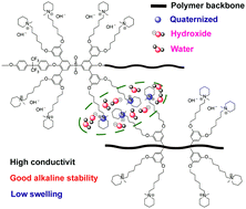 Graphical abstract: High conductivity and alkaline stability of anion exchange membranes containing multiple flexible side-chain piperidinium ions