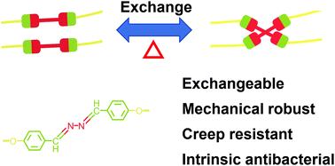 Graphical abstract: Mechanically robust, creep-resistant, intrinsic antibacterial and reprocessable dynamic polyurethane networks based on azine moieties