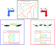 Graphical abstract: Effect of H-bonding on network junction and macroscopic elastomer properties in photocured polyacrylate films