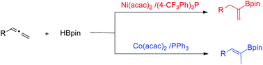 Graphical abstract: Regio-divergent hydroboration of terminal allenes controlled by nickel and cobalt catalysts