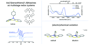 Graphical abstract: Radical cations and dications of bis[1]benzothieno[1,4]thiazine isomers