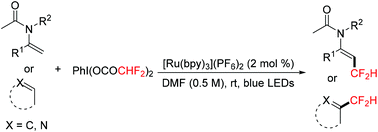 Graphical abstract: Photoredox-catalyzed direct C(sp2)–H difluoromethylation of enamides or heterocycles with [bis(difluoroacetoxy)iodo]benzene