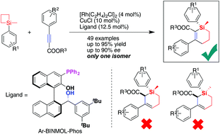 Graphical abstract: Multifunctional P-ligand-controlled “silicon-centered” selectivity in Rh/Cu-catalyzed Si–C bond cleavage of silacyclobutanes