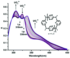 Graphical abstract: Synthesis of para-linked azacalix[n]pyridine[n]pyrazines and their uranyl ion binding properties