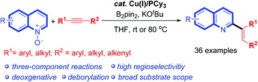 Graphical abstract: Copper-catalyzed ortho-alkenylation of quinoline N-oxides with alkynes