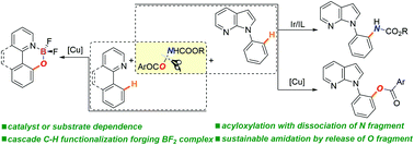 Graphical abstract: N-Aroyloxycarbamates as switchable nitrogen and oxygen precursor: Ir/Cu controlled divergent C–H functionalization of heteroarenes