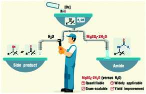 Graphical abstract: Chemo-selective control of Ritter-type reaction by coordinatively unsaturated inorganic salt hydrates