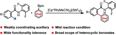 Graphical abstract: RhIII-Catalyzed heteroarylation of N-2,6-difluorophenyl arylamides with heteroaryl boronate esters