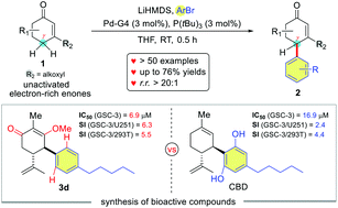 Graphical abstract: Palladium-catalyzed direct γ-C(sp3)–H arylation of β-alkoxy cyclohexenones: reaction scope and mechanistic insights