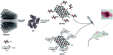Graphical abstract: Design of graphenic nanocomposites containing chitosan and polyethylene glycol for spinal cord injury improvement