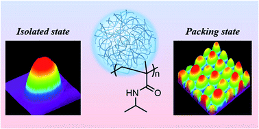 Graphical abstract: Nanostructure and thermoresponsiveness of poly(N-isopropyl methacrylamide)-based hydrogel microspheres prepared via aqueous free radical precipitation polymerization