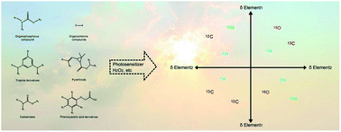 Graphical abstract: Photodegradation of pesticides using compound-specific isotope analysis (CSIA): a review