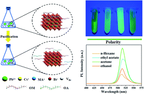 Graphical abstract: Improvement in optical properties of Cs4PbBr6 nanocrystals using aprotic polar purification solvent