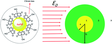 Graphical abstract: Effect of conjugation with organic molecules on the surface plasmon resonance of gold nanoparticles and application in optical biosensing