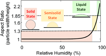 Graphical abstract: Direct observation and assessment of phase states of ambient and lab-generated sub-micron particles upon humidification