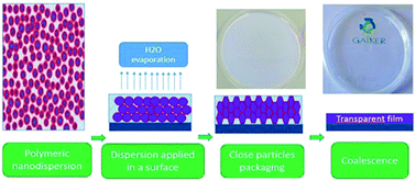Graphical abstract: Green alternative cosolvents to N-methyl-2-pyrrolidone in water polyurethane dispersions