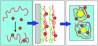 Graphical abstract: Towards the systematic design of multilayer O/W emulsions with tannic acid as an interfacial antioxidant