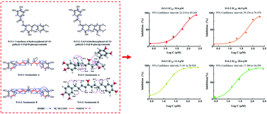 Graphical abstract: Preparative separation of 1,1-diphenyl-2-picrylhydrazyl inhibitors originating from Saxifraga sinomontana employing medium-pressure liquid chromatography in combination with reversed-phase liquid chromatography
