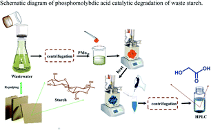 Graphical abstract: Experimental and kinetic study of the conversion of waste starch into glycolic acid over phosphomolybdic acid