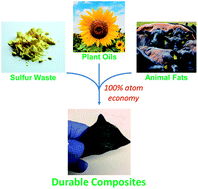 Graphical abstract: High strength composites from low-value animal coproducts and industrial waste sulfur