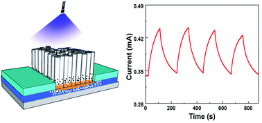 Graphical abstract: Visible photodetector based on transition metal-doped ZnO NRs/PEDOT:PSS hybrid materials