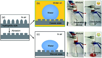 Graphical abstract: Fabrication of durable underoil superhydrophobic surfaces with self-cleaning and oil–water separation properties