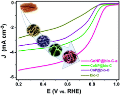 Graphical abstract: Co2O3/Co2N0.67 nanoparticles encased in honeycomb-like N, P, O-codoped carbon framework derived from corncob as efficient ORR electrocatalysts