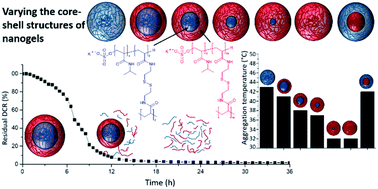 Graphical abstract: Dual-responsive degradable core–shell nanogels with tuneable aggregation behaviour