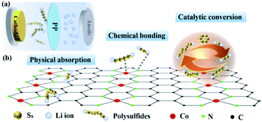 Graphical abstract: Co,N-co-doped graphene sheet as a sulfur host for high-performance lithium–sulfur batteries