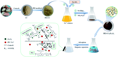 Graphical abstract: Preparation and application of polyethyleneimine-modified corncob magnetic gel for removal of Pb(ii) and Cu(ii) ions from aqueous solution
