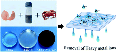 Graphical abstract: Chitin/egg shell membrane@Fe3O4 nanocomposite hydrogel for efficient removal of Pb2+ from aqueous solution