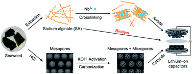 Graphical abstract: All alginate-derived high-performance T-Nb2O5/C//seaweed carbon Li-ion capacitors