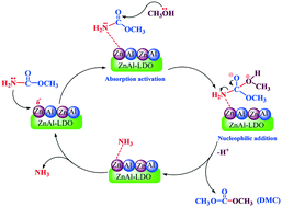 Graphical abstract: Selective preparation and reaction kinetics of dimethyl carbonate from alcoholysis of methyl carbamate with methanol over ZnAl-LDO