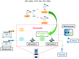 Graphical abstract: Kinetic study of o-nitrotoluene nitration in a homogeneously continuous microflow