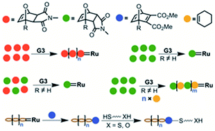 Graphical abstract: Oxanorbornenes: promising new single addition monomers for the metathesis polymerization