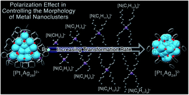 Graphical abstract: An insight, at the atomic level, into the polarization effect in controlling the morphology of metal nanoclusters