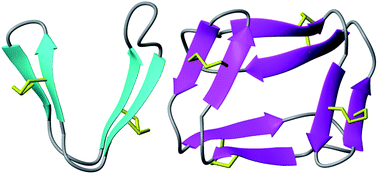 Graphical abstract: A chameleonic macrocyclic peptide with drug delivery applications