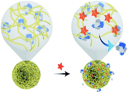 Graphical abstract: Fast-responding functional DNA superstructures for stimuli-triggered protein release