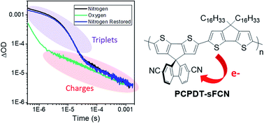 Graphical abstract: Intrinsic photogeneration of long-lived charges in a donor-orthogonal acceptor conjugated polymer
