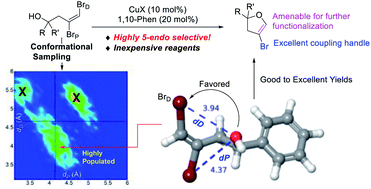 Graphical abstract: Easily accessible non-aromatic heterocycles with handles: 4-bromo-2,3-dihydrofurans from 1,2-dibromohomoallylic alcohols