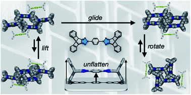 Graphical abstract: Non-stackable molecules assemble into porous crystals displaying concerted cavity-changing motions