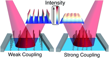 Graphical abstract: Vibrational exciton delocalization precludes the use of infrared intensities as proxies for surfactant accumulation on aqueous surfaces