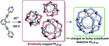 Graphical abstract: Selective formation of Pt12L24 nanospheres by ligand design